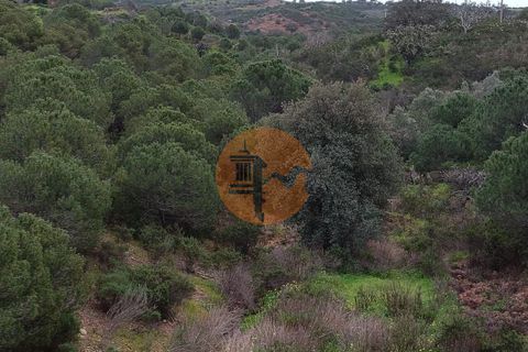 Helårsgrund i Castro Marim, Faro, Castro Marim - € 35.000 | Ref: SU-CS-TR-89060 - foto 12
