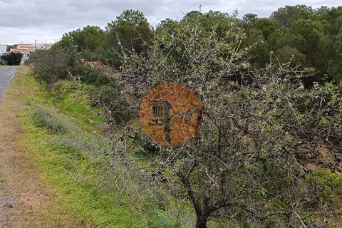 Helårsgrund i Castro Marim, Faro, Castro Marim - € 35.000 | Ref: SU-CS-TR-89060 - foto 14