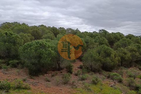 Helårsgrund i Castro Marim, Faro, Castro Marim - € 35.000 | Ref: SU-CS-TR-89060 - foto 16