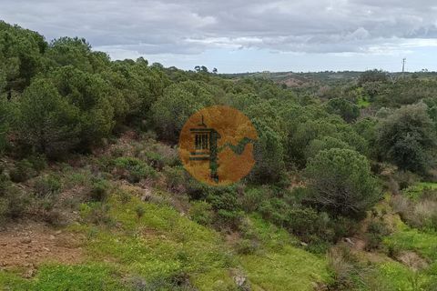 Helårsgrund i Castro Marim, Faro, Castro Marim - € 35.000 | Ref: SU-CS-TR-89060 - foto 18