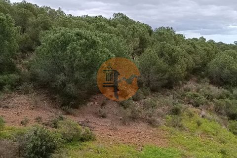 Helårsgrund i Castro Marim, Faro, Castro Marim - € 35.000 | Ref: SU-CS-TR-89060 - foto 20