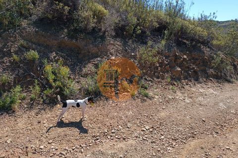 Helårsgrund i Castro Marim, Faro, Castro Marim - € 29.000 | Ref: SU-CS-TR-89593 - foto 18