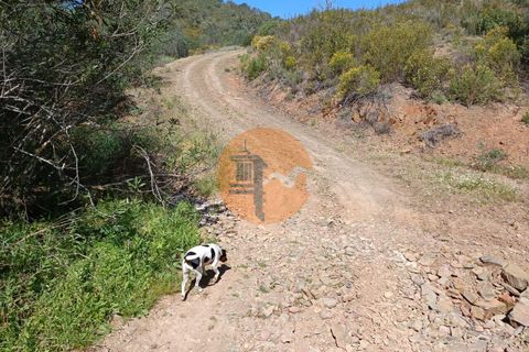 Helårsgrund i Castro Marim, Faro, Castro Marim - € 29.000 | Ref: SU-CS-TR-89593 - foto 22