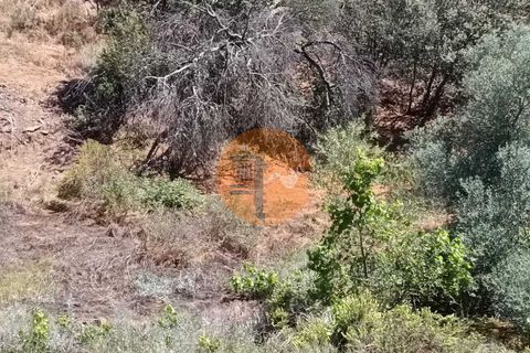 Helårsgrund i Castro Marim, Faro, Castro Marim - € 9.000 | Ref: SU-CS-TR-89635 - foto 6