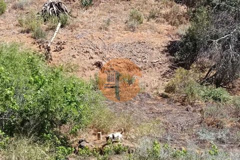 Helårsgrund i Castro Marim, Faro, Castro Marim - € 9.000 | Ref: SU-CS-TR-89635 - foto 14