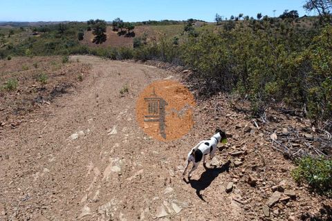 Helårsgrund i Castro Marim, Faro, Castro Marim - € 9.000 | Ref: SU-CS-TR-89635 - foto 19