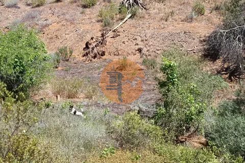 Helårsgrund i Castro Marim, Faro, Castro Marim - € 9.000 | Ref: SU-CS-TR-89635 - foto 22