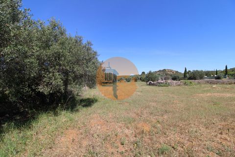 Terra a Estoi, Faro, Estoi - € 100.000 | Ref: SU-CS-TR-89668 - foto 3