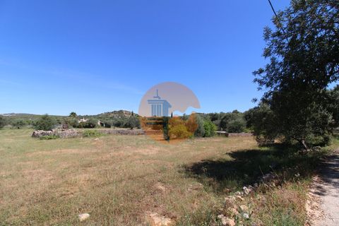 Terra a Estoi, Faro, Estoi - € 100.000 | Ref: SU-CS-TR-89668 - foto 4