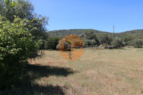 Terra a Estoi, Faro, Estoi - € 100.000 | Ref: SU-CS-TR-89668 - foto 5