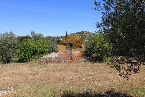 Terra a Estoi, Faro, Estoi - € 100.000 | Ref: SU-CS-TR-89668 - foto 6