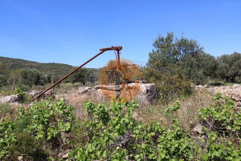 Terra a Estoi, Faro, Estoi - € 100.000 | Ref: SU-CS-TR-89668 - foto 7
