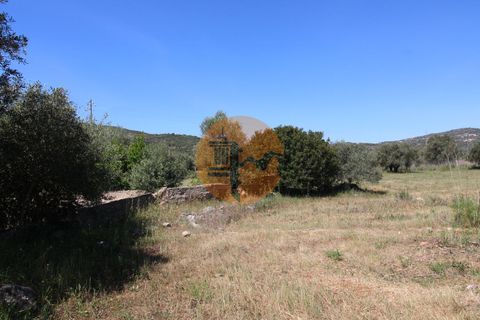 Terra a Estoi, Faro, Estoi - € 100.000 | Ref: SU-CS-TR-89668 - foto 9