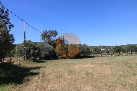 Terra a Estoi, Faro, Estoi - € 100.000 | Ref: SU-CS-TR-89668 - foto 10