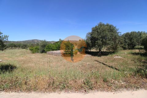 Terra a Estoi, Faro, Estoi - € 100.000 | Ref: SU-CS-TR-89668 - foto 11