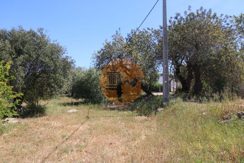 Terra a Estoi, Faro, Estoi - € 100.000 | Ref: SU-CS-TR-89668 - foto 12