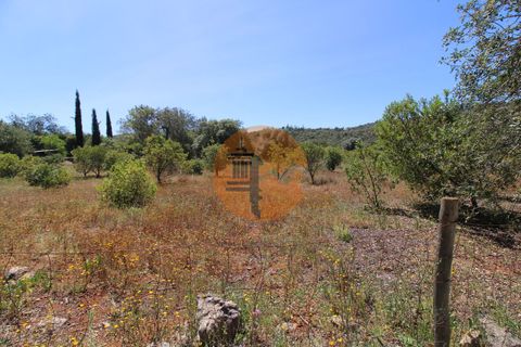 Terra a Estoi, Faro, Estoi - € 100.000 | Ref: SU-CS-TR-89668 - foto 13