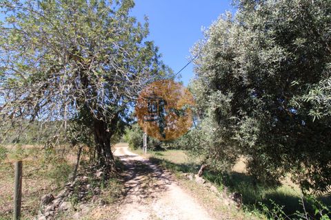 Terra a Estoi, Faro, Estoi - € 100.000 | Ref: SU-CS-TR-89668 - foto 14