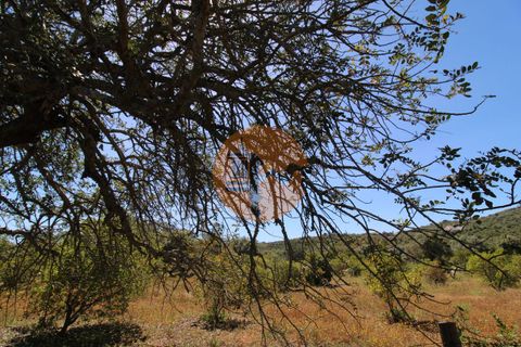Terra a Estoi, Faro, Estoi - € 100.000 | Ref: SU-CS-TR-89668 - foto 17