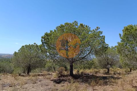 Helårsgrund i Castro Marim, Faro, Castro Marim - € 22.500 | Ref: SU-CS-TR-89690 - foto 4