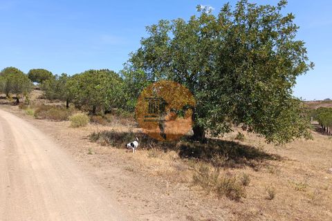 Helårsgrund i Castro Marim, Faro, Castro Marim - € 22.500 | Ref: SU-CS-TR-89690 - foto 8