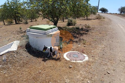 Helårsgrund i Castro Marim, Faro, Castro Marim - € 22.500 | Ref: SU-CS-TR-89690 - foto 9