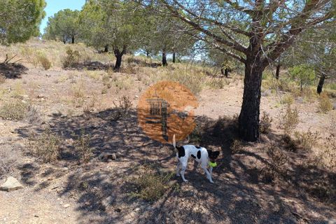 Helårsgrund i Castro Marim, Faro, Castro Marim - € 22.500 | Ref: SU-CS-TR-89690 - foto 12