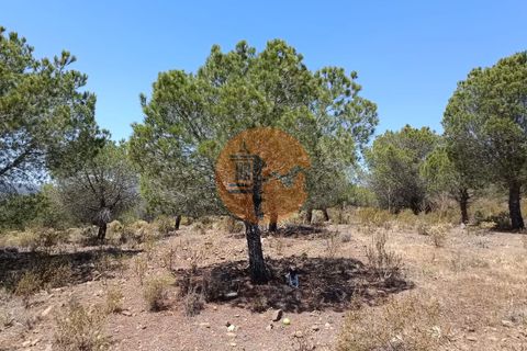Helårsgrund i Castro Marim, Faro, Castro Marim - € 22.500 | Ref: SU-CS-TR-89690 - foto 14