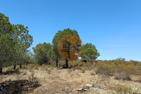 Helårsgrund i Castro Marim, Faro, Castro Marim - € 22.500 | Ref: SU-CS-TR-89690 - foto 15