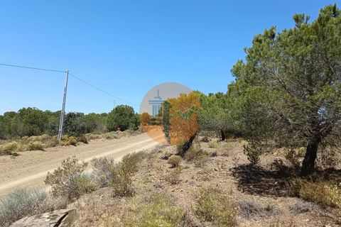 Helårsgrund i Castro Marim, Faro, Castro Marim - € 22.500 | Ref: SU-CS-TR-89690 - foto 21
