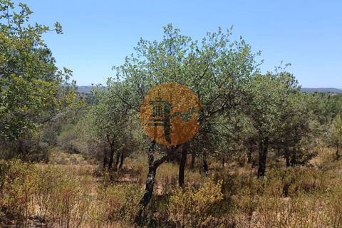 Helårsgrund i Castro Marim, Faro, Castro Marim - € 12.500 | Ref: SU-CS-TR-89693 - foto 1