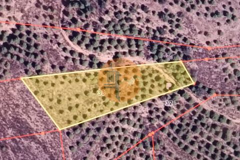 Helårsgrund i Castro Marim, Faro, Castro Marim - € 12.500 | Ref: SU-CS-TR-89693 - foto 2