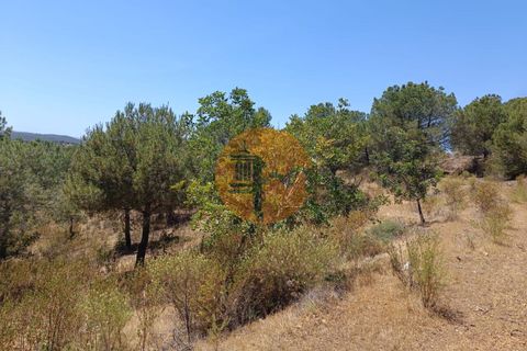 Helårsgrund i Castro Marim, Faro, Castro Marim - € 12.500 | Ref: SU-CS-TR-89693 - foto 3
