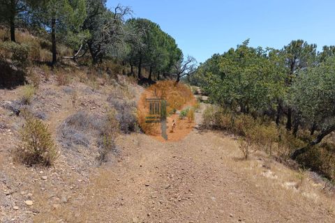 Helårsgrund i Castro Marim, Faro, Castro Marim - € 12.500 | Ref: SU-CS-TR-89693 - foto 4