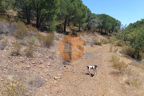 Helårsgrund i Castro Marim, Faro, Castro Marim - € 12.500 | Ref: SU-CS-TR-89693 - foto 5