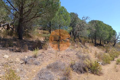 Helårsgrund i Castro Marim, Faro, Castro Marim - € 12.500 | Ref: SU-CS-TR-89693 - foto 6