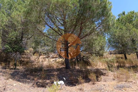 Helårsgrund i Castro Marim, Faro, Castro Marim - € 12.500 | Ref: SU-CS-TR-89693 - foto 7