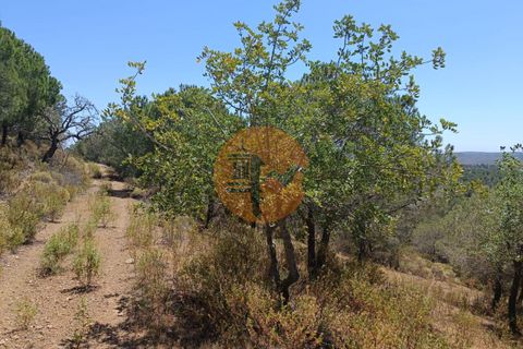 Helårsgrund i Castro Marim, Faro, Castro Marim - € 12.500 | Ref: SU-CS-TR-89693 - foto 10