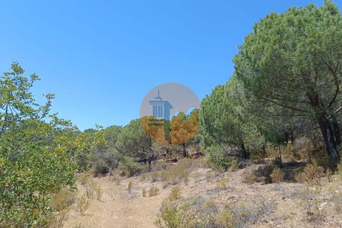Helårsgrund i Castro Marim, Faro, Castro Marim - € 12.500 | Ref: SU-CS-TR-89693 - foto 11