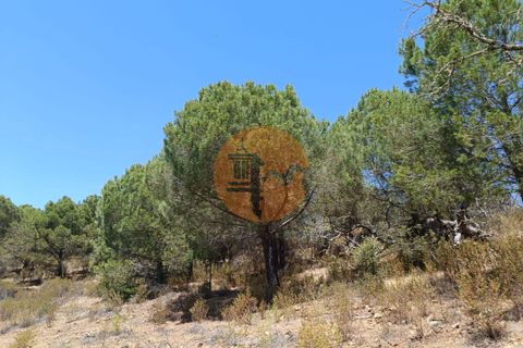 Helårsgrund i Castro Marim, Faro, Castro Marim - € 12.500 | Ref: SU-CS-TR-89693 - foto 12