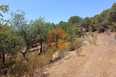 Helårsgrund i Castro Marim, Faro, Castro Marim - € 12.500 | Ref: SU-CS-TR-89693 - foto 14