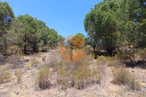 Helårsgrund i Castro Marim, Faro, Castro Marim - € 12.500 | Ref: SU-CS-TR-89693 - foto 15