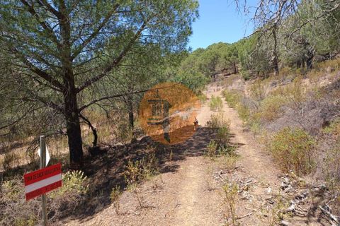 Helårsgrund i Castro Marim, Faro, Castro Marim - € 12.500 | Ref: SU-CS-TR-89693 - foto 17