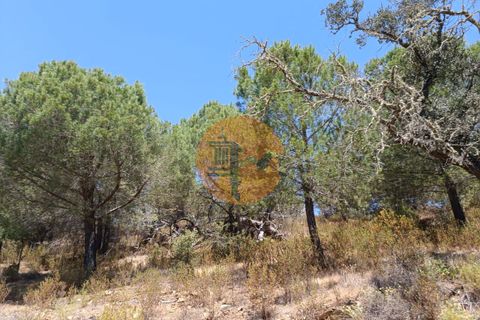 Helårsgrund i Castro Marim, Faro, Castro Marim - € 12.500 | Ref: SU-CS-TR-89693 - foto 18