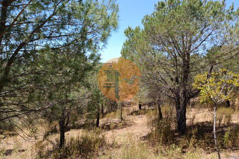 Helårsgrund i Castro Marim, Faro, Castro Marim - € 12.500 | Ref: SU-CS-TR-89693 - foto 19