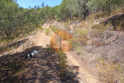Helårsgrund i Castro Marim, Faro, Castro Marim - € 12.500 | Ref: SU-CS-TR-89693 - foto 20