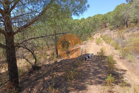 Helårsgrund i Castro Marim, Faro, Castro Marim - € 12.500 | Ref: SU-CS-TR-89693 - foto 21