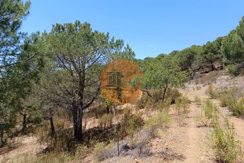 Helårsgrund i Castro Marim, Faro, Castro Marim - € 12.500 | Ref: SU-CS-TR-89693 - foto 22
