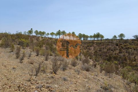 Helårsgrund i Castro Marim, Faro, Castro Marim - € 35.000 | Ref: SU-CS-TR-90185 - foto 17
