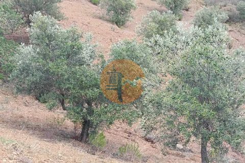 Helårsgrund i Castro Marim, Faro, Castro Marim - € 36.000 | Ref: SU-CS-TR-90763 - foto 1